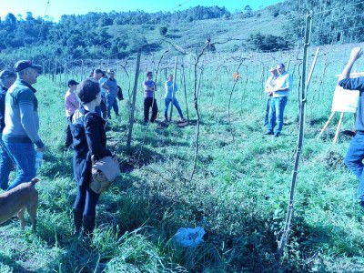 Dia de Campo: Viticultura